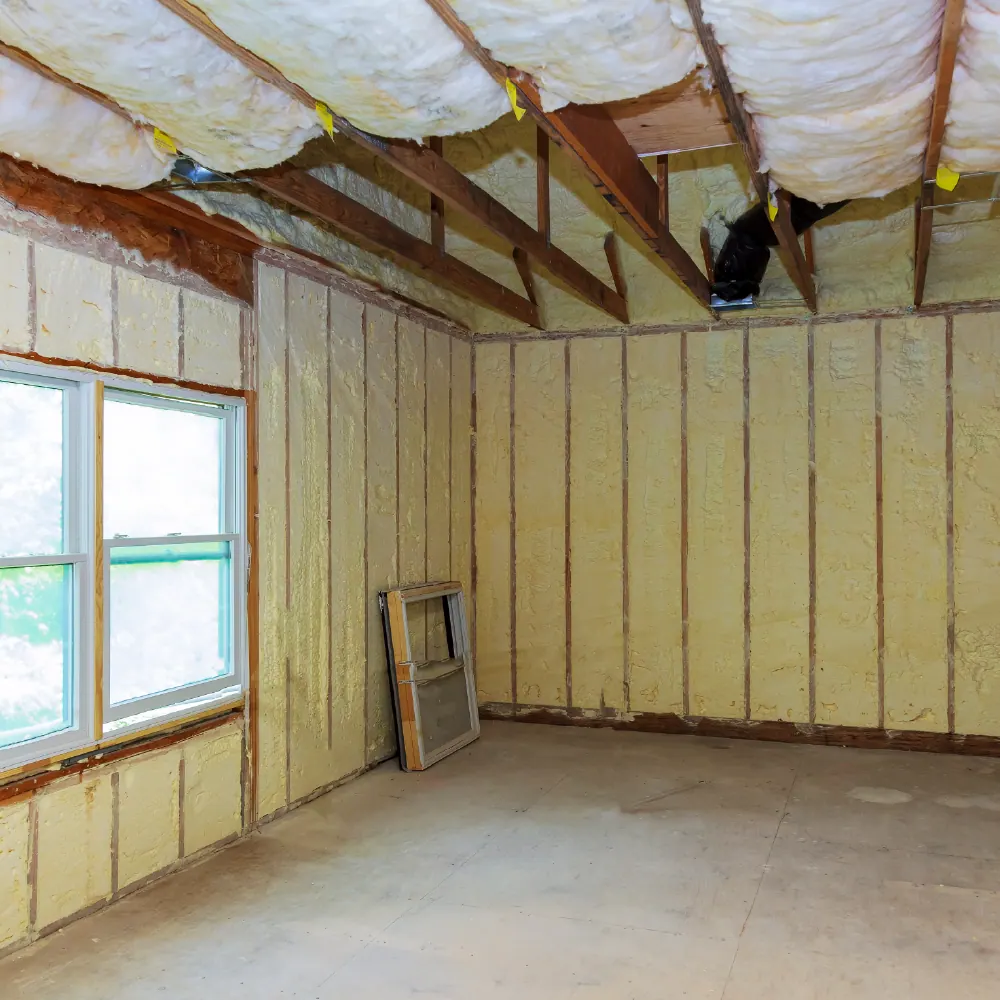 Home Additions project view 1
