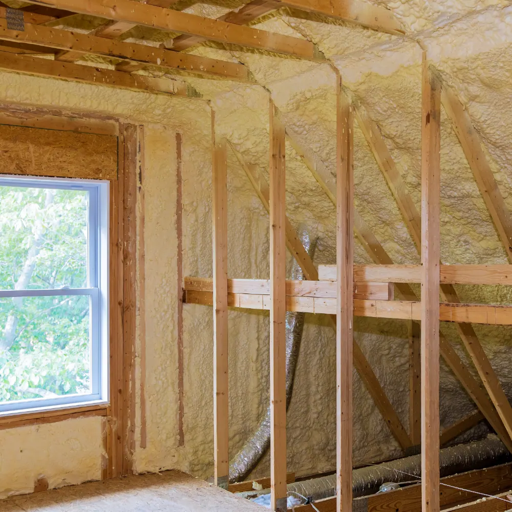 Home Additions project view 3